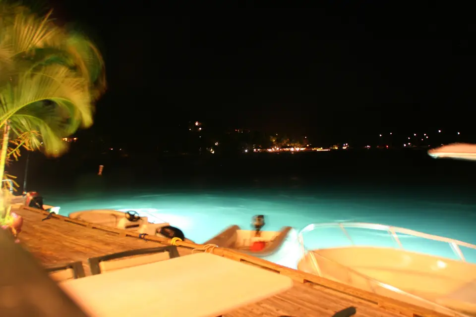 BVI31-2.jpg