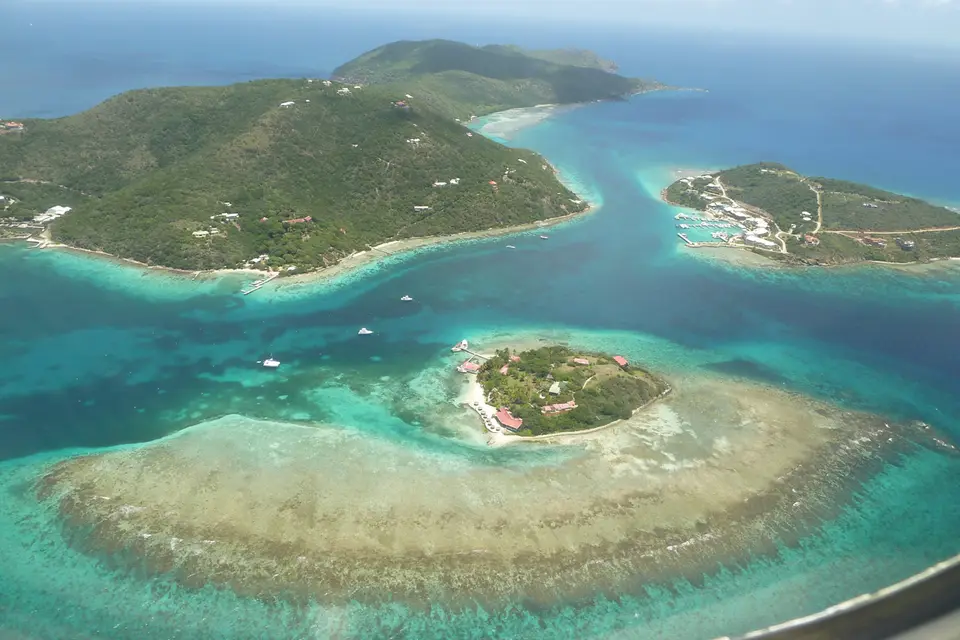 BVI320.jpg