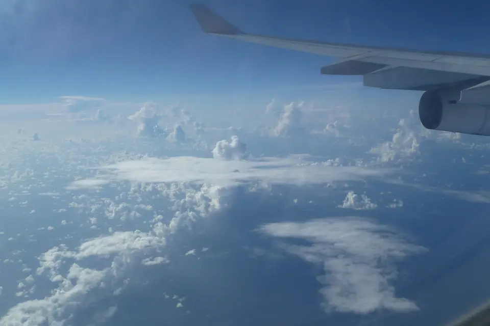 BVI331.jpg