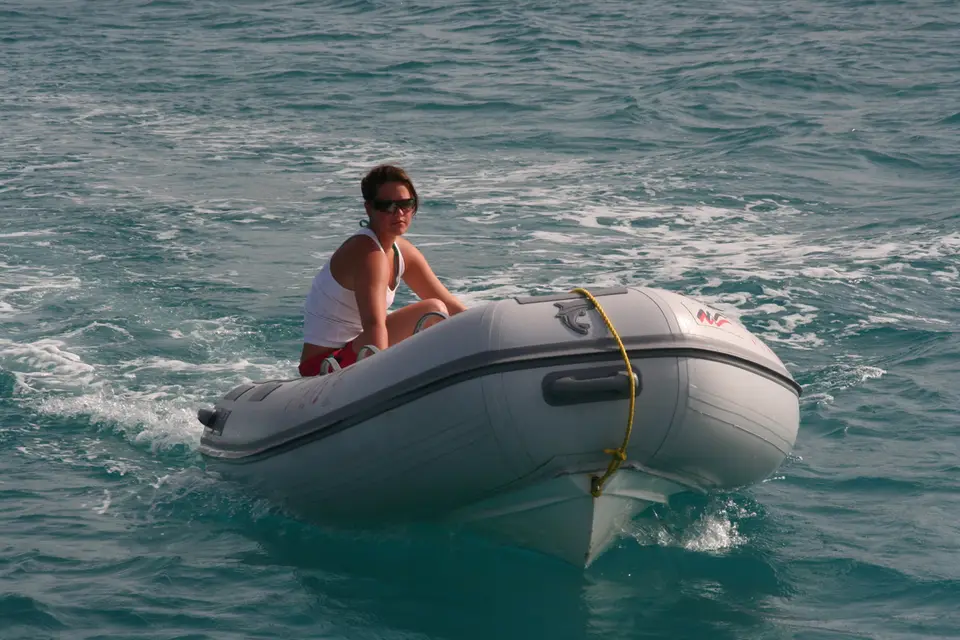 BVI35-2.jpg