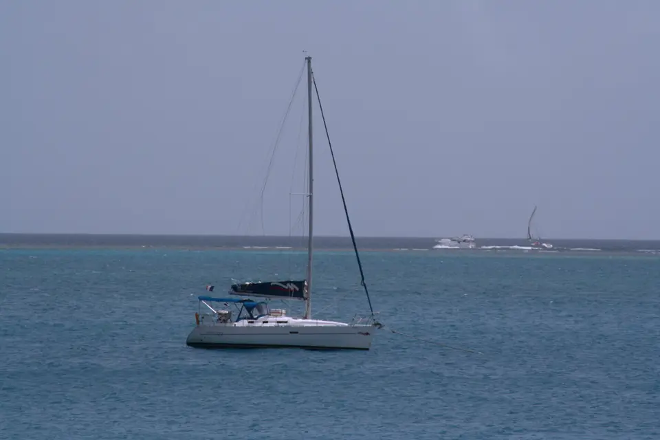 BVI45.jpg