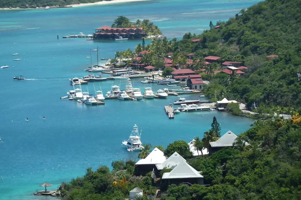BVI65.jpg