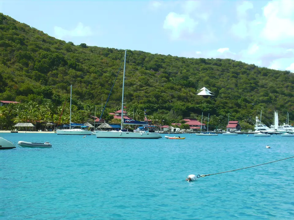 BVI76.jpg