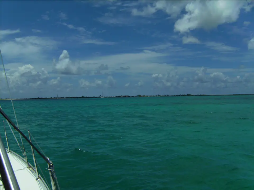 BVI80.jpg
