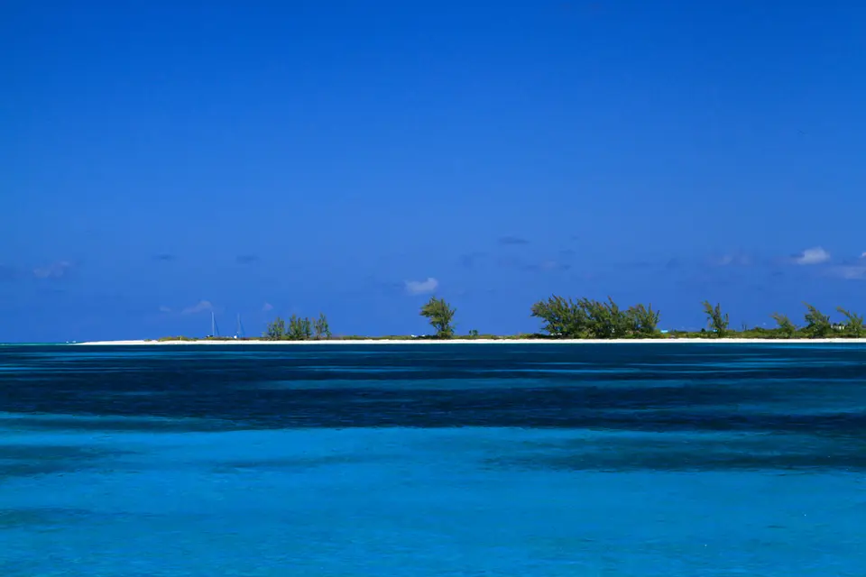 BVI81.jpg