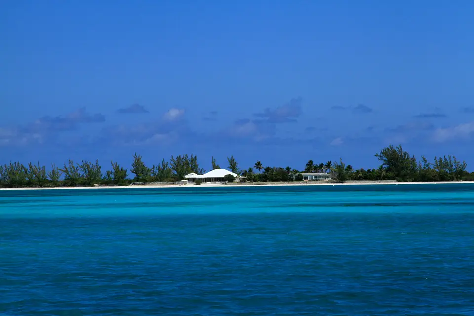 BVI82.jpg