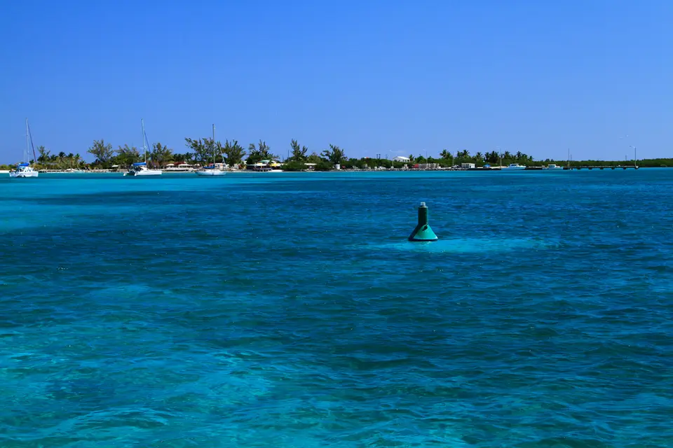 BVI83.jpg