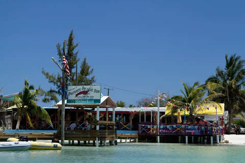 BVI90.jpg