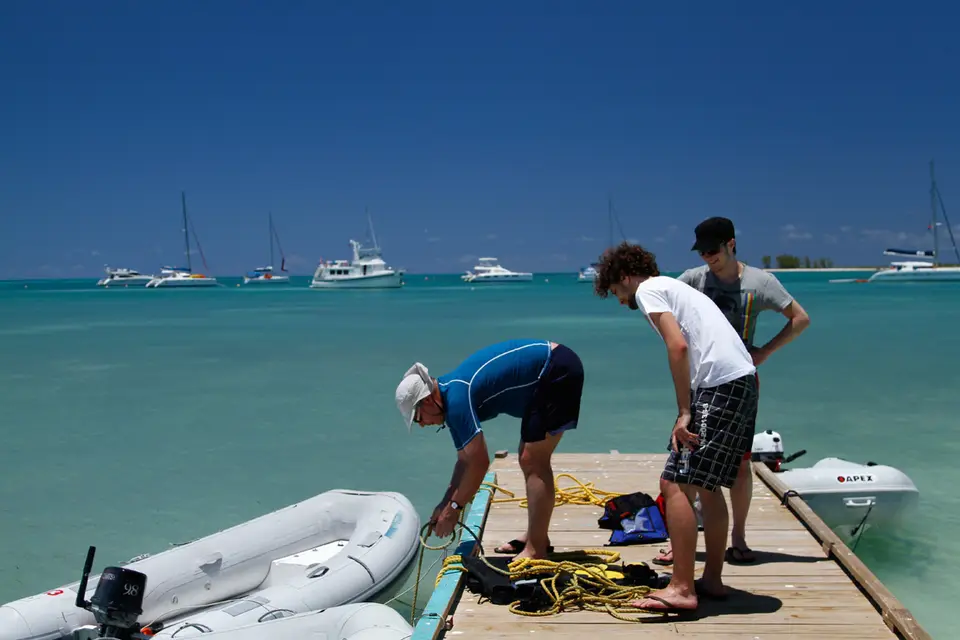 BVI91.jpg