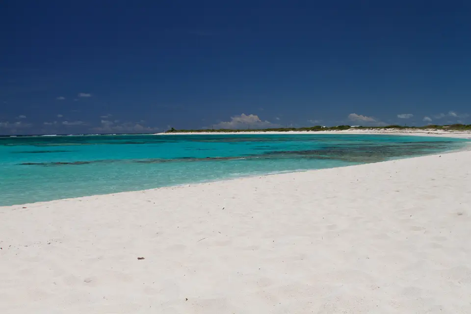 BVI93.jpg