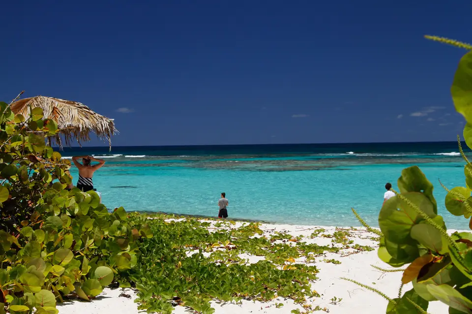 BVI95.jpg