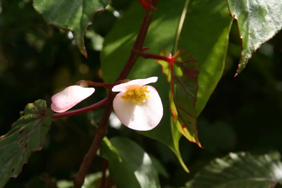 IMG_3629.jpg