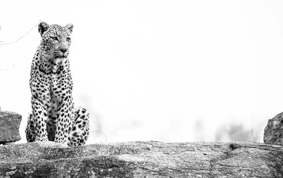 SabiSabiLodgeSouthAfrica.JPG