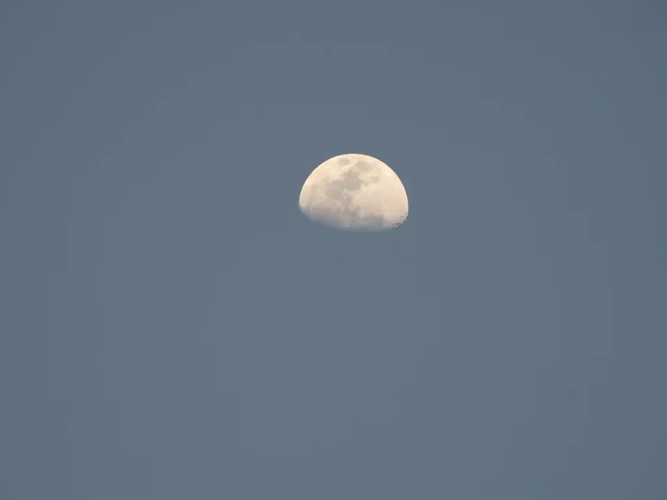 P9050551.jpg
