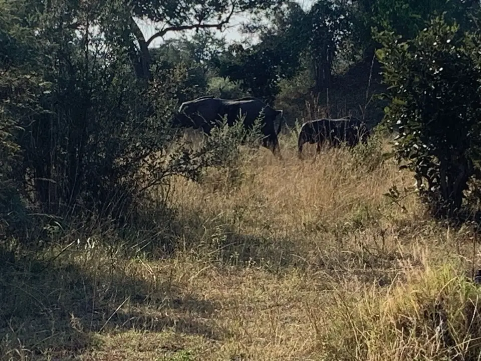IMG_7976.jpeg