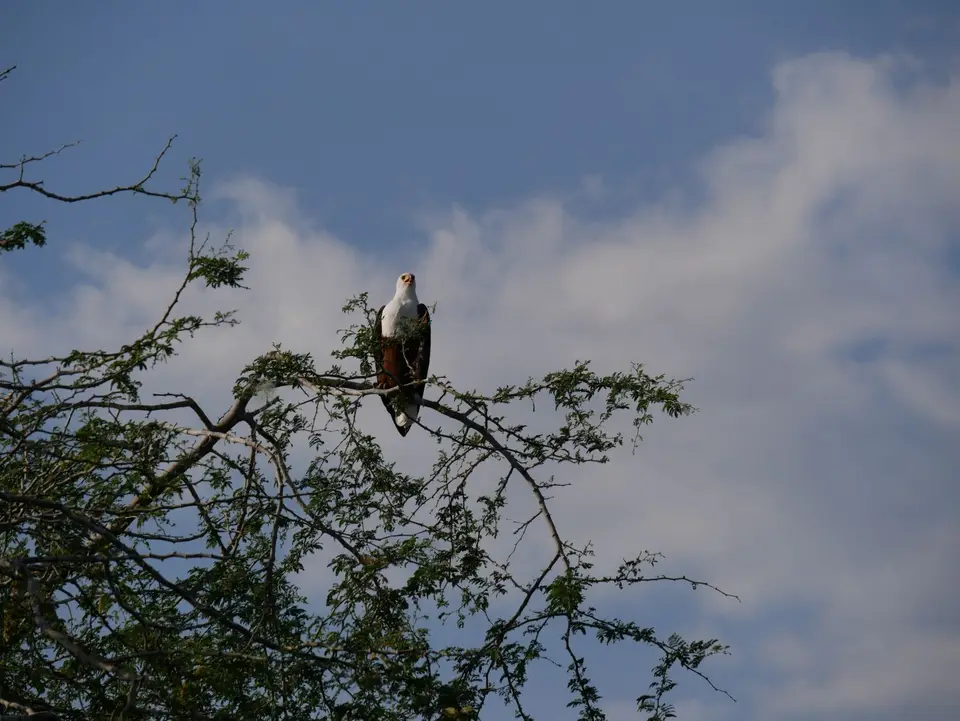 P1050048.JPG