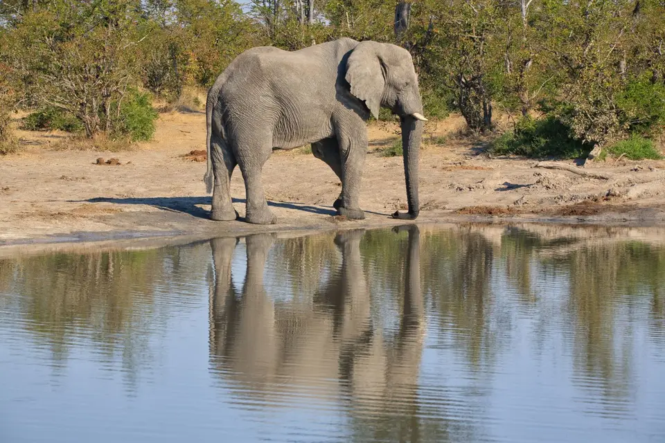 Botswana_ChobeNP_Savuti_074.jpg