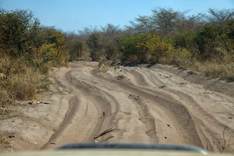 Botswana_ChobeNP_Savuti_134.jpg
