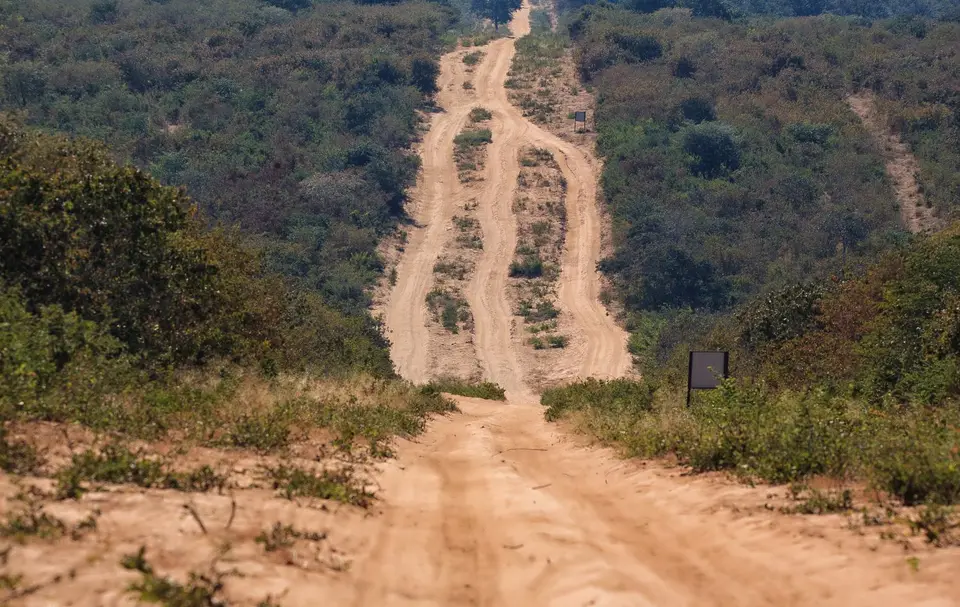 Botswana_ChobeNP_Savuti_135.jpg