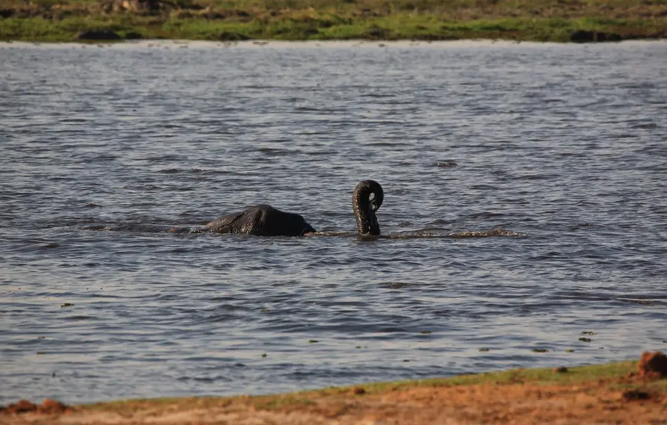 Botswana_ChobeNP_Waterfront_014.jpg