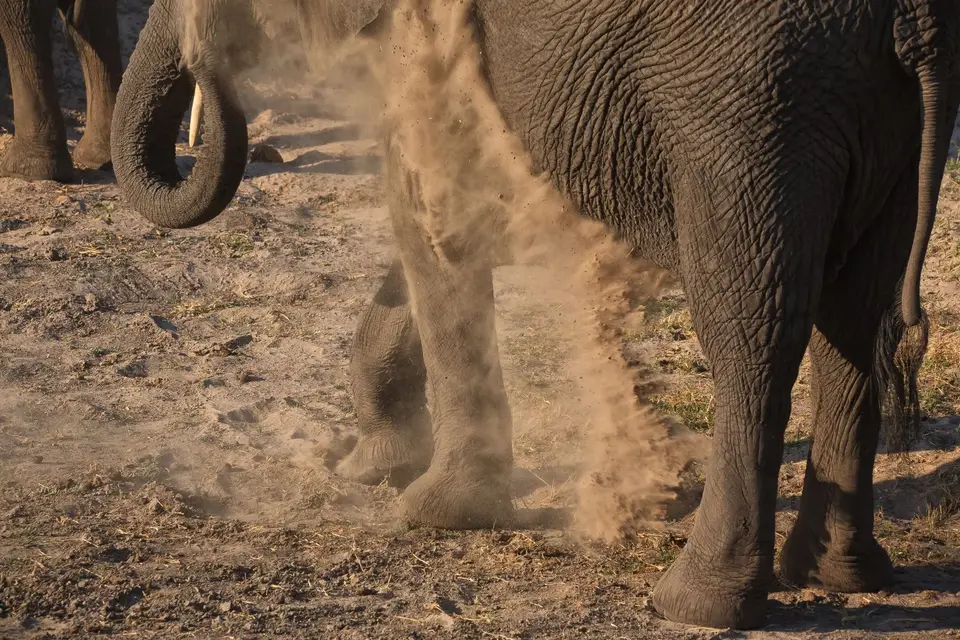 Botswana_ChobeNP_Waterfront_040.jpg
