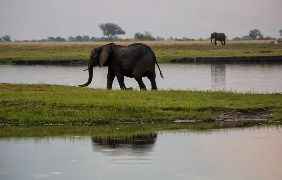 Botswana_ChobeNP_Waterfront_332.jpg