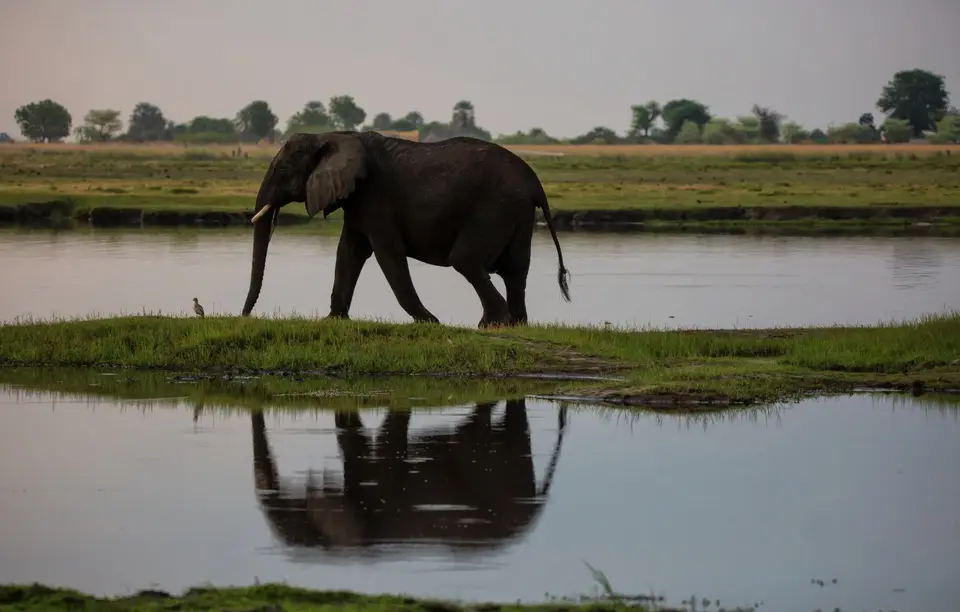 Botswana_ChobeNP_Waterfront_333.jpg