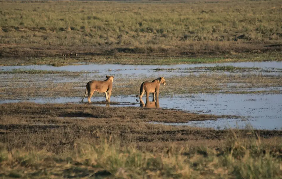 Botswana_ChobeNP_Waterfront_376.jpg
