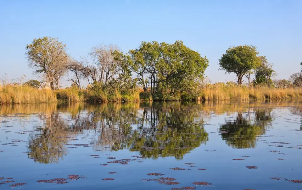 Botswana_Drotzkys_061.jpg