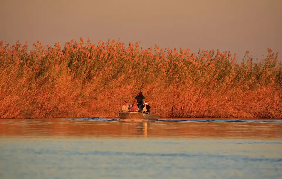 Botswana_Drotzkys_283.jpg