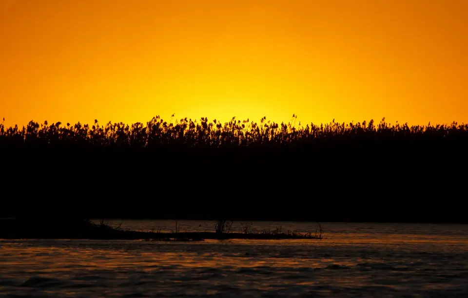 Botswana_Drotzkys_287.jpg