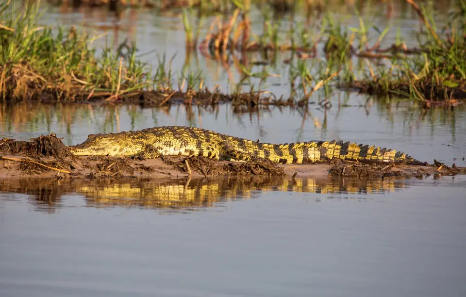 Botswana_Khwai_034.jpg