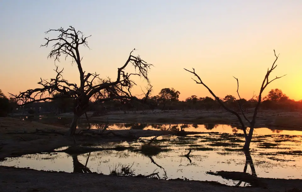 Botswana_Khwai_098.jpg