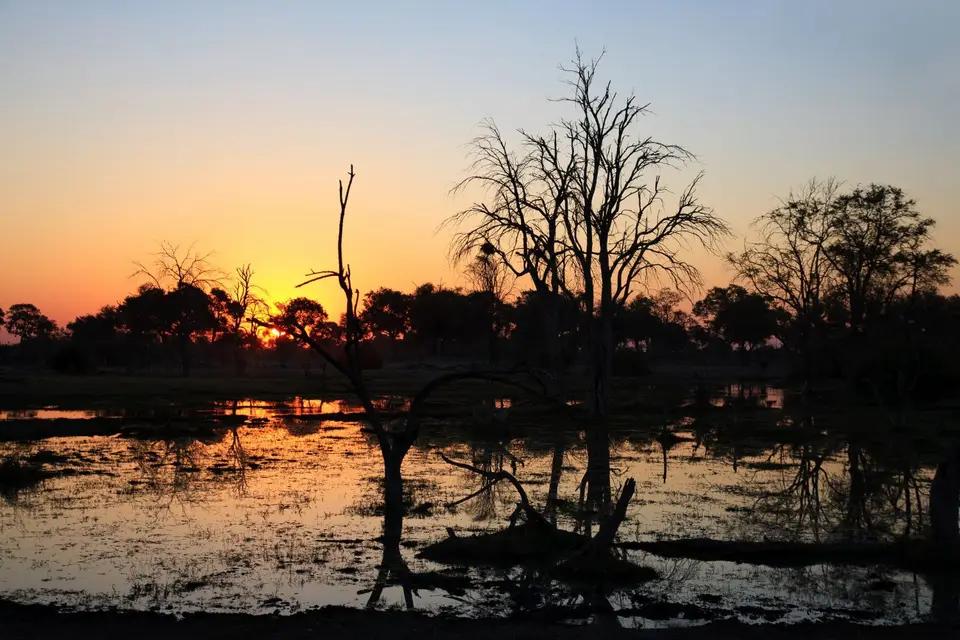 Botswana_Khwai_101.jpg