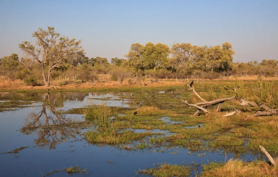 Botswana_Khwai_113.jpg