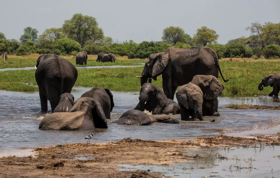 Botswana_Khwai_192.jpg
