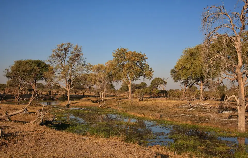 Botswana_Khwai_296.jpg