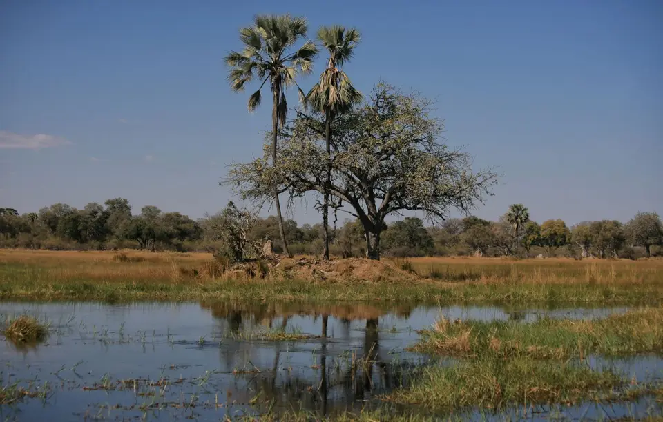 Botswana_Khwai_350.jpg