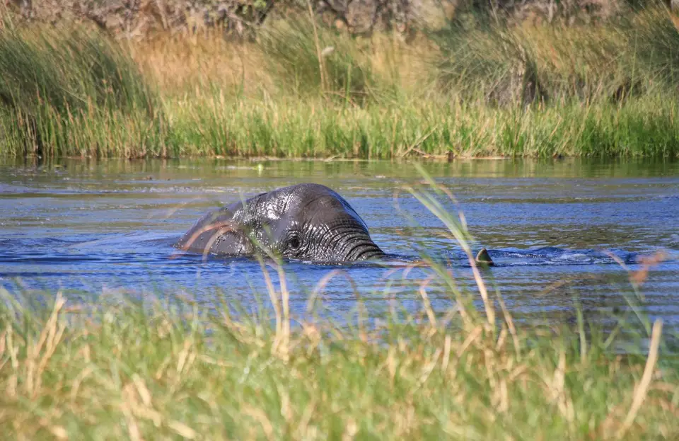 Botswana_Khwai_352.jpg
