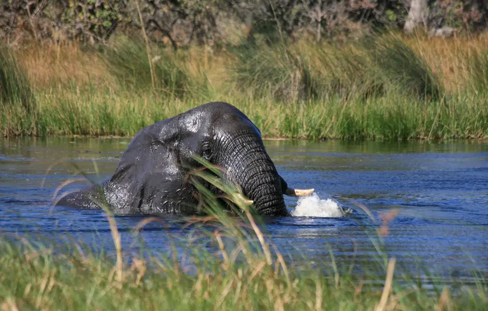Botswana_Khwai_353.jpg