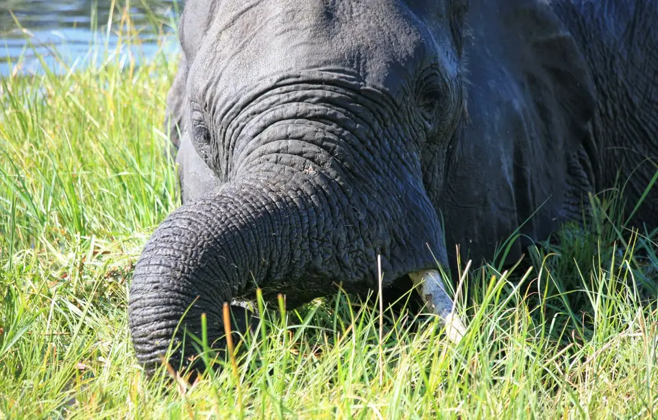 Botswana_Khwai_360.jpg