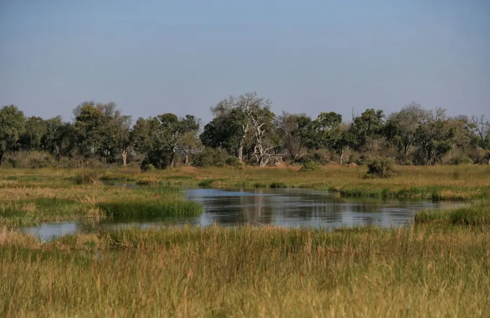Botswana_Khwai_361.jpg