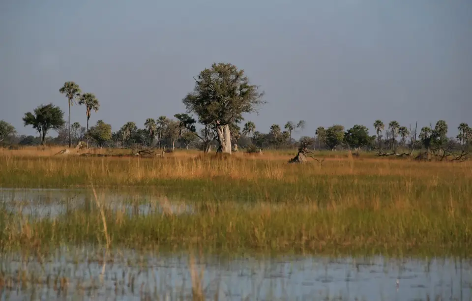 Botswana_Khwai_363.jpg