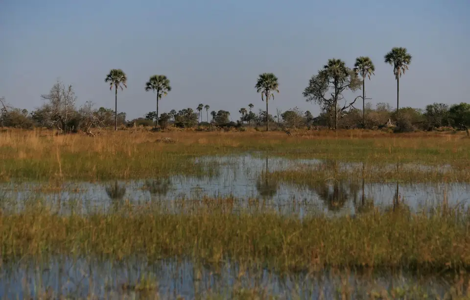 Botswana_Khwai_364.jpg