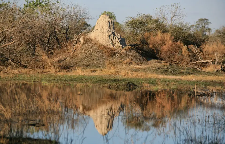 Botswana_Khwai_370.jpg