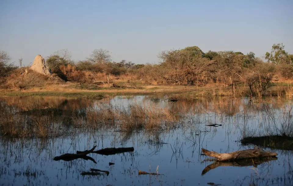 Botswana_Khwai_371.jpg