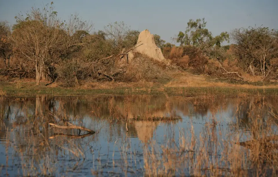 Botswana_Khwai_372.jpg