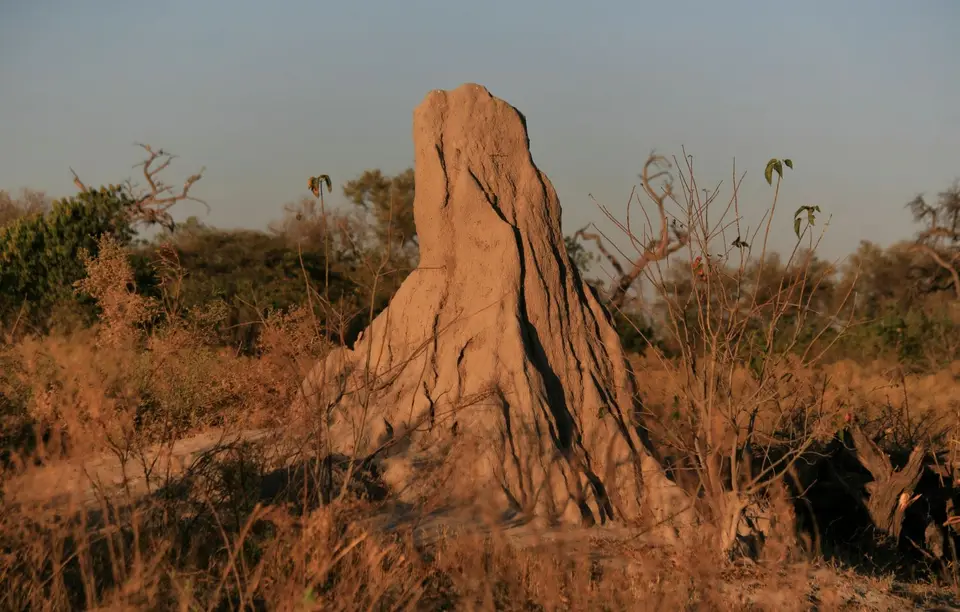 Botswana_Khwai_376.jpg
