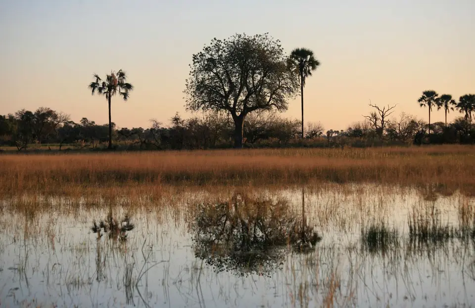 Botswana_Khwai_377.jpg