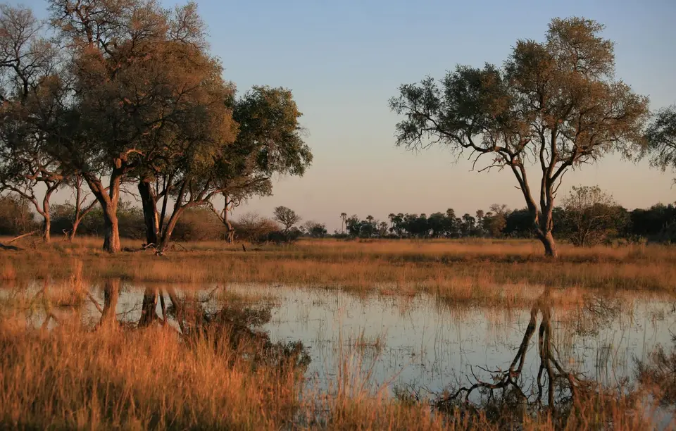 Botswana_Khwai_378.jpg